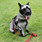 Skanto | Chaqueta de lluvia para perros cool, impermeable y para todo clima