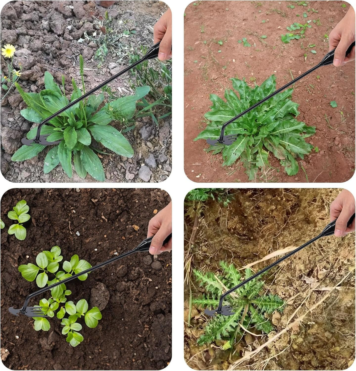 Nueva Herramienta para Sacar Malezas del Jardín