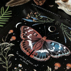 Meryn - Calendario Lunar del Bosque Oscuro | 50% de Descuento