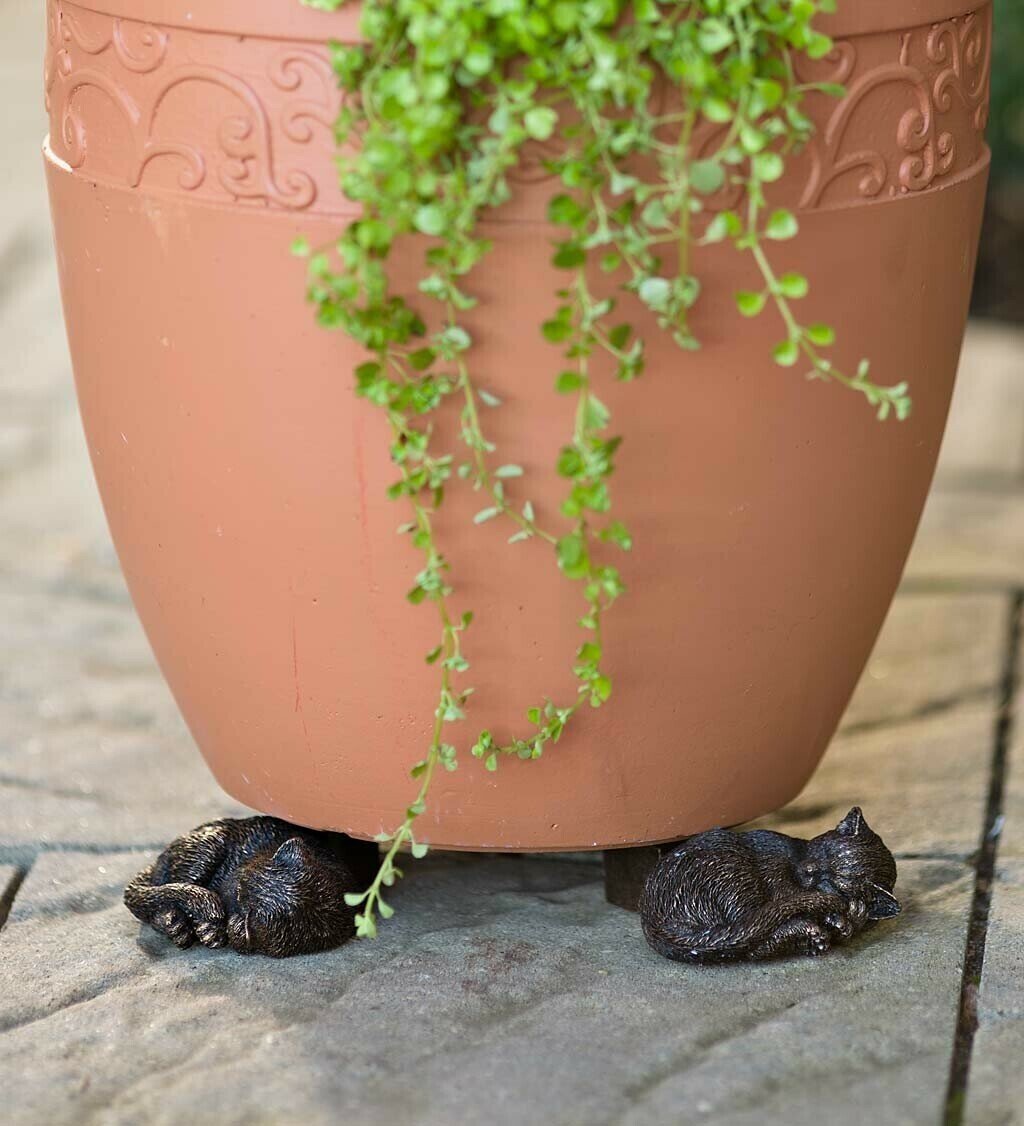 Patas de Maceta para Plantas