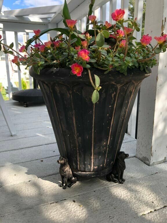 Patas de Maceta para Plantas