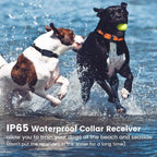 Collar E-eléctrico para Entrenamiento de Perros – Seguro, control remoto efectivo