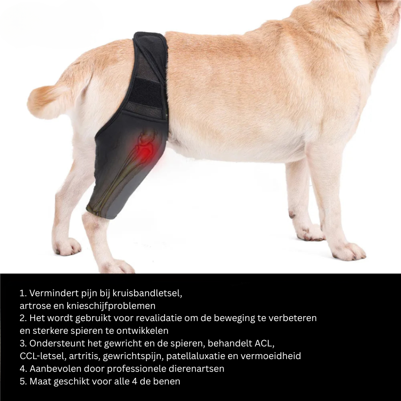 Skanto | PootVitaal Férula para Rodilla para Perros – Apoyo en Dolores Articulares y Rehabilitación