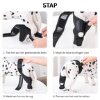 Skanto | PootVitaal Férula para Rodilla para Perros – Apoyo en Dolores Articulares y Rehabilitación