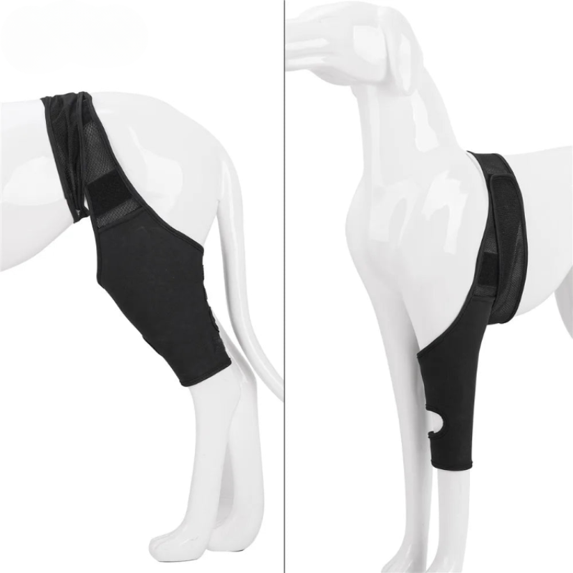 Skanto | PootVitaal Férula para Rodilla para Perros – Apoyo en Dolores Articulares y Rehabilitación