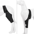 Skanto | PootVitaal Férula para Rodilla para Perros – Apoyo en Dolores Articulares y Rehabilitación