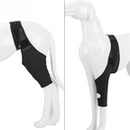 Skanto | PootVitaal Férula para Rodilla para Perros – Apoyo en Dolores Articulares y Rehabilitación