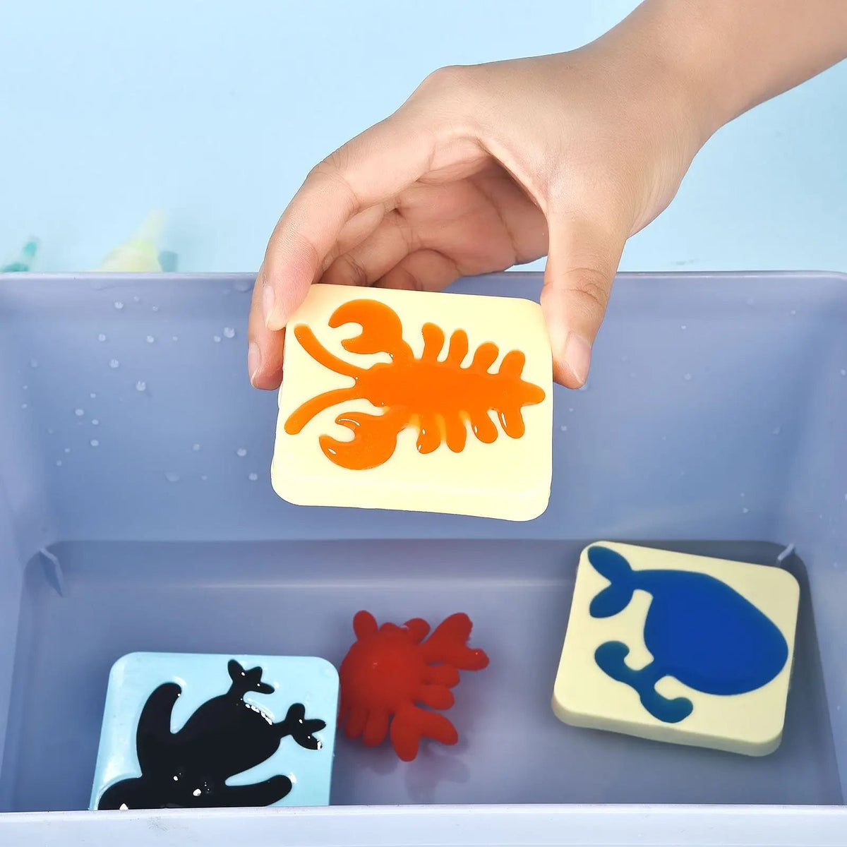 CreativeSplash | 50% DESCUENTO