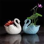 DuckNest – Maceta Decorativa con Diseño Inspirado en Patos