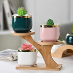 BloomStand - Soporte Multifuncional para Plantas con Doble Nivel y Diseño Portátil