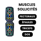 Tabla de musculación con enfoque muscular por color