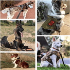 Arnés de entrenamiento para perros grandes - Máxima control