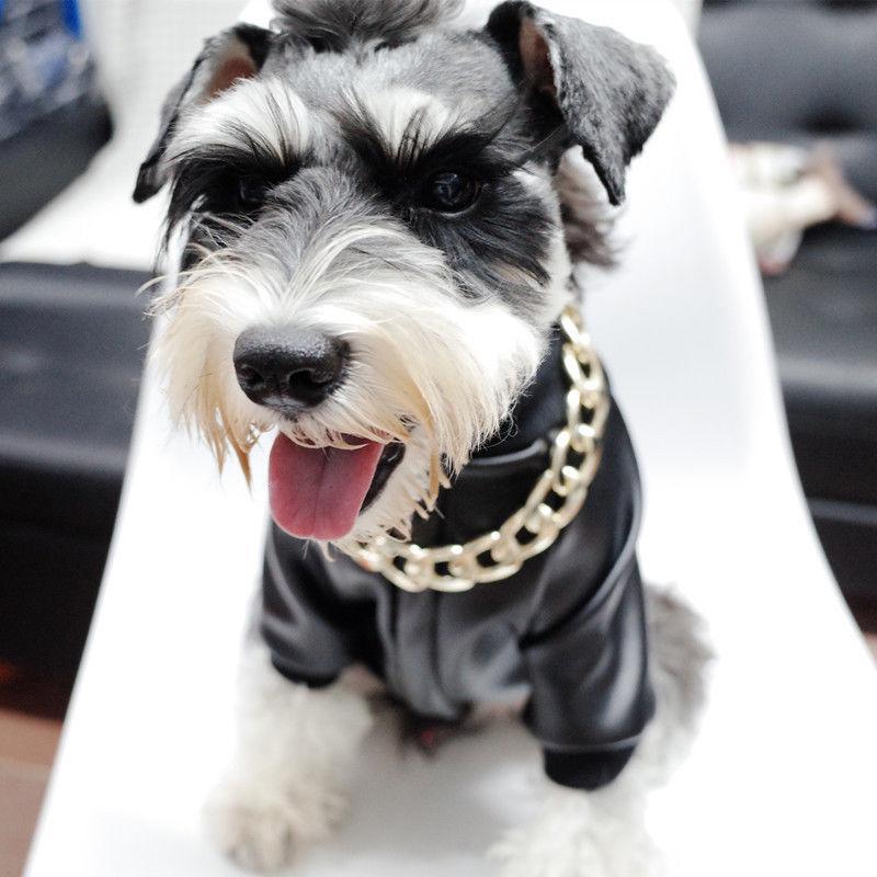 Collar de Cadena Gruesa de Oro para Mascotas