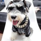 Collar de Cadena Gruesa de Oro para Mascotas