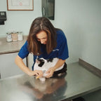 PawGuard - Cortauñas con Sensor de Precisión para un Cuidado Seguro de Mascotas