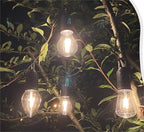 LightLoop — Linterna portátil recargable | 1+2 GRATIS