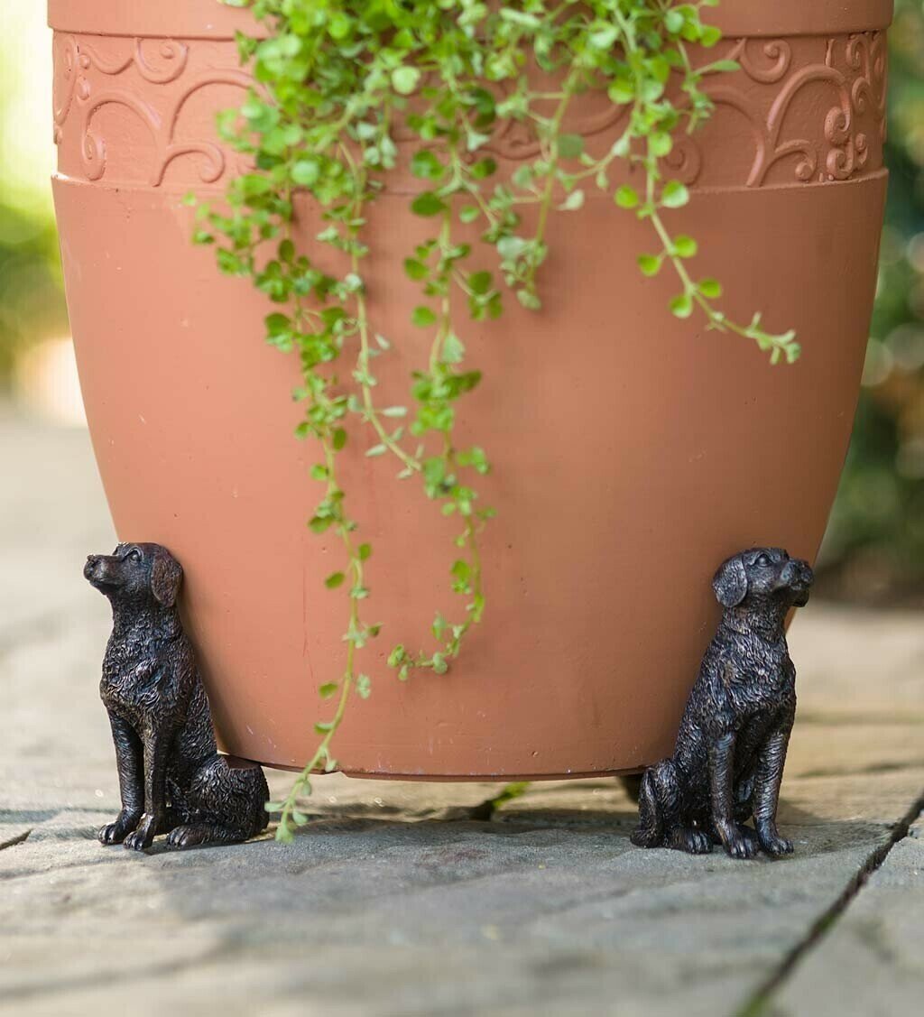 Patas de Maceta para Plantas