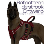 Arnés Antideslizante para Perros con 3 Puntos de Sujeción Reflectantes