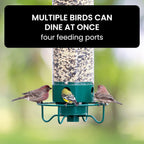 Comedero para Aves a Prueba de Ardillas