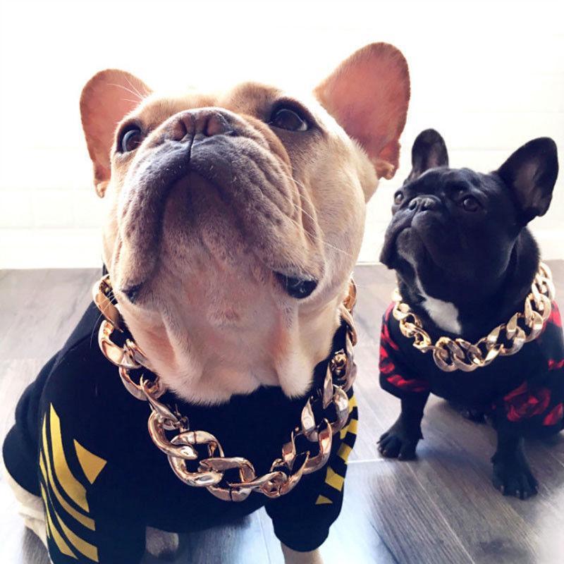 Collar de Cadena Gruesa de Oro para Mascotas