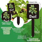 Etiquetas de Plantas Acrílicas Impermeables Set de 12
