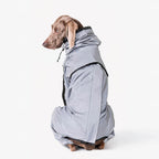 Skanto | Chaqueta de lluvia para perros cool, impermeable y para todo clima