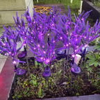 Moderna Luz Exterior LED de Lavanda Falsa Solar Impermeable de Acero Inoxidable PC y ABS para Jardín y Terraza