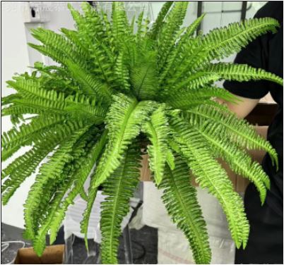 Helecho de Boston Artificial Realista y Resistente a UV