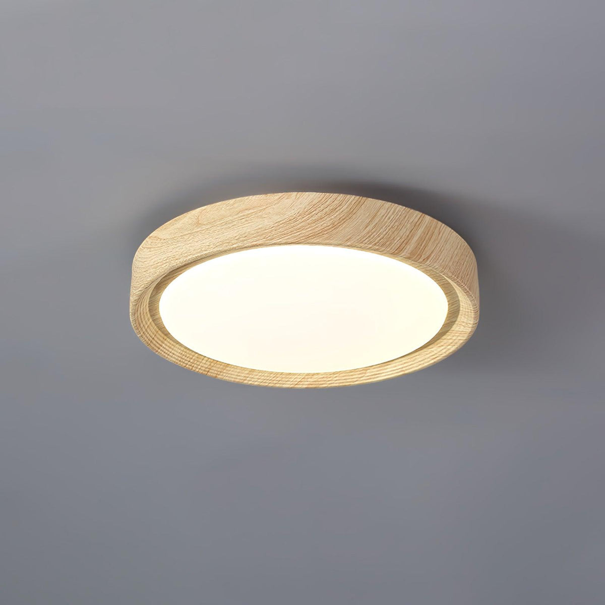Lámpara de Techo Empotrada - Lámpara de Techo LED Dimmable de Metal y Acrílico