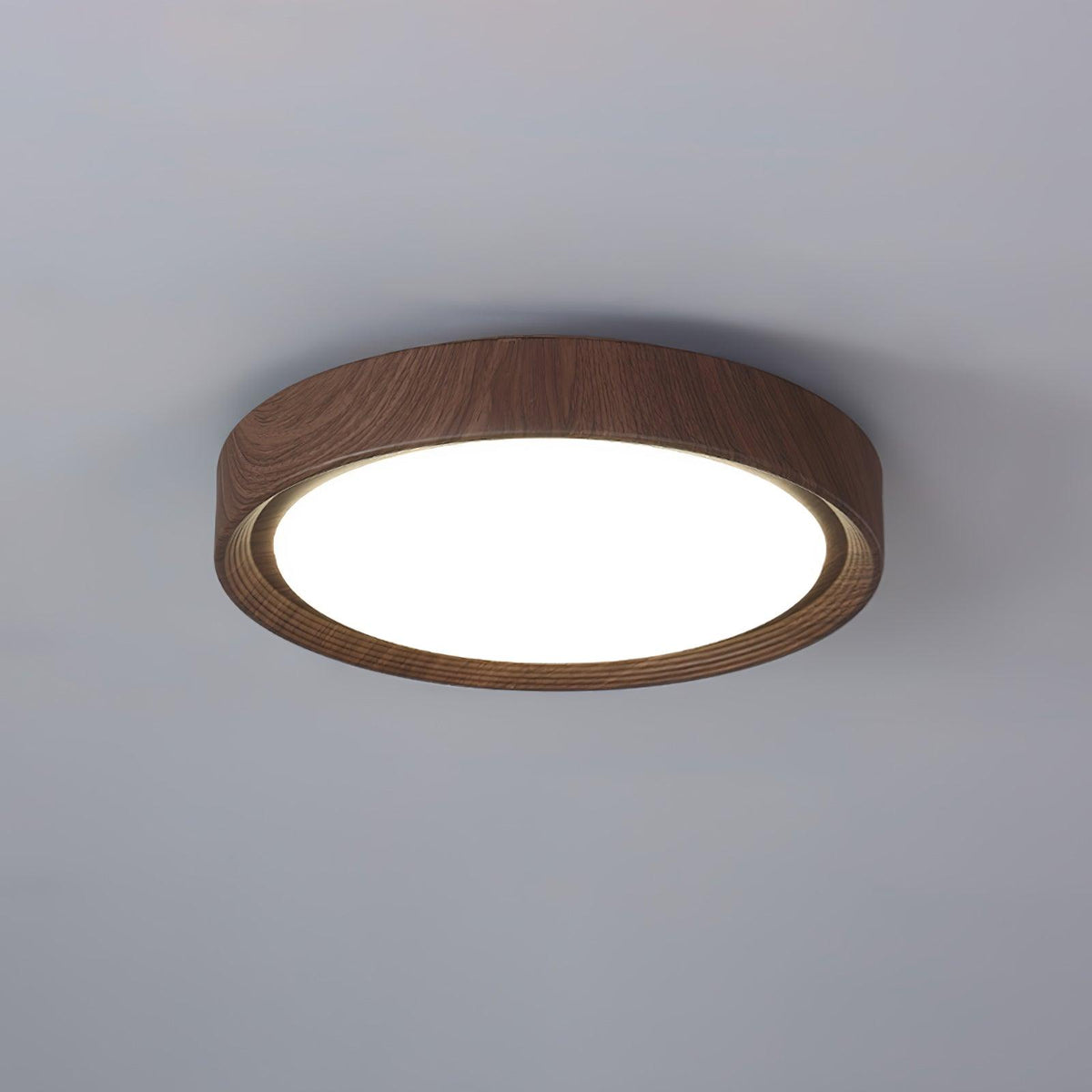 Lámpara de Techo Empotrada - Lámpara de Techo LED Dimmable de Metal y Acrílico