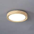 Lámpara de Techo Empotrada - Lámpara de Techo LED Dimmable de Metal y Acrílico