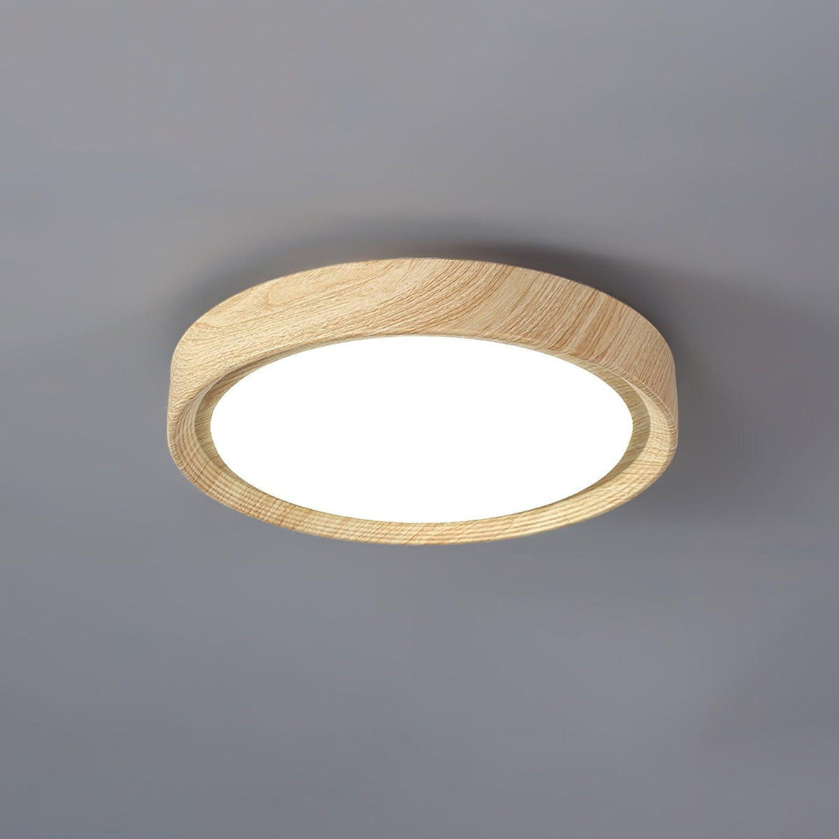 Lámpara de Techo Empotrada - Lámpara de Techo LED Dimmable de Metal y Acrílico