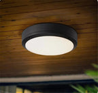 Moderno Minimalista LED Flush Mount