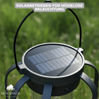 BurstGlow – ¡Lámpara solar con ambiente de llamas auténticas!