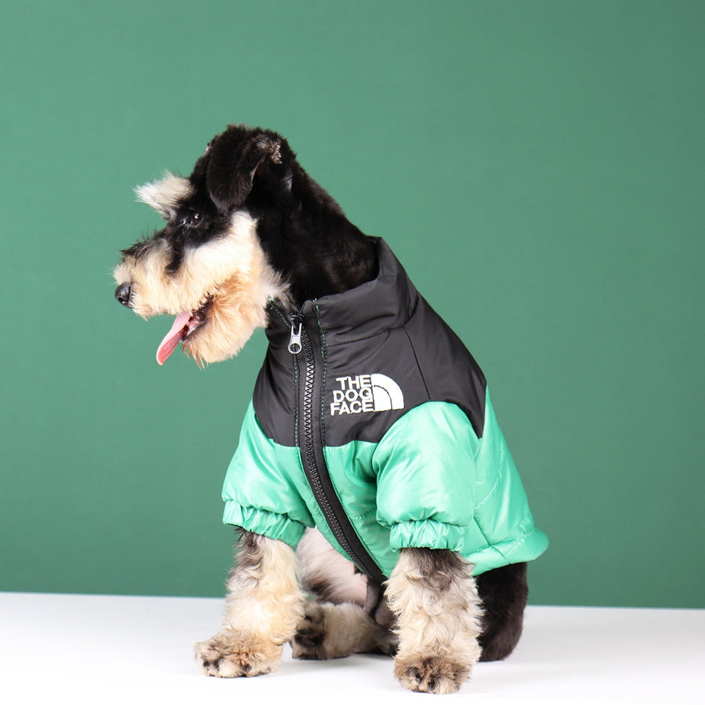 Chaqueta de Invierno para Perros | Acolchada y Resistente al Viento