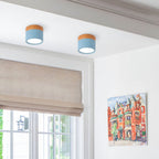 Luz de Techo Cilíndrica Moderna Montada en Superficie de Aluminio y Madera