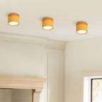 Luz de Techo Cilíndrica Moderna Montada en Superficie de Aluminio y Madera