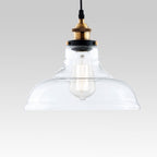 Lámpara Colgante de Cúpula Única de Vidrio Claro Industrial Moderno