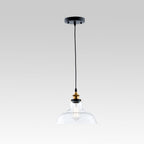 Lámpara Colgante de Cúpula Única de Vidrio Claro Industrial Moderno