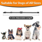 Collar de Entrenamiento para Perros Ligero e Impermeable - Alcance de 400m