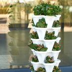 Macetas apilables de fresa