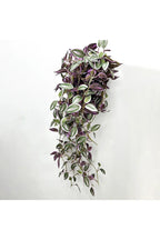 Plantas de Vid
