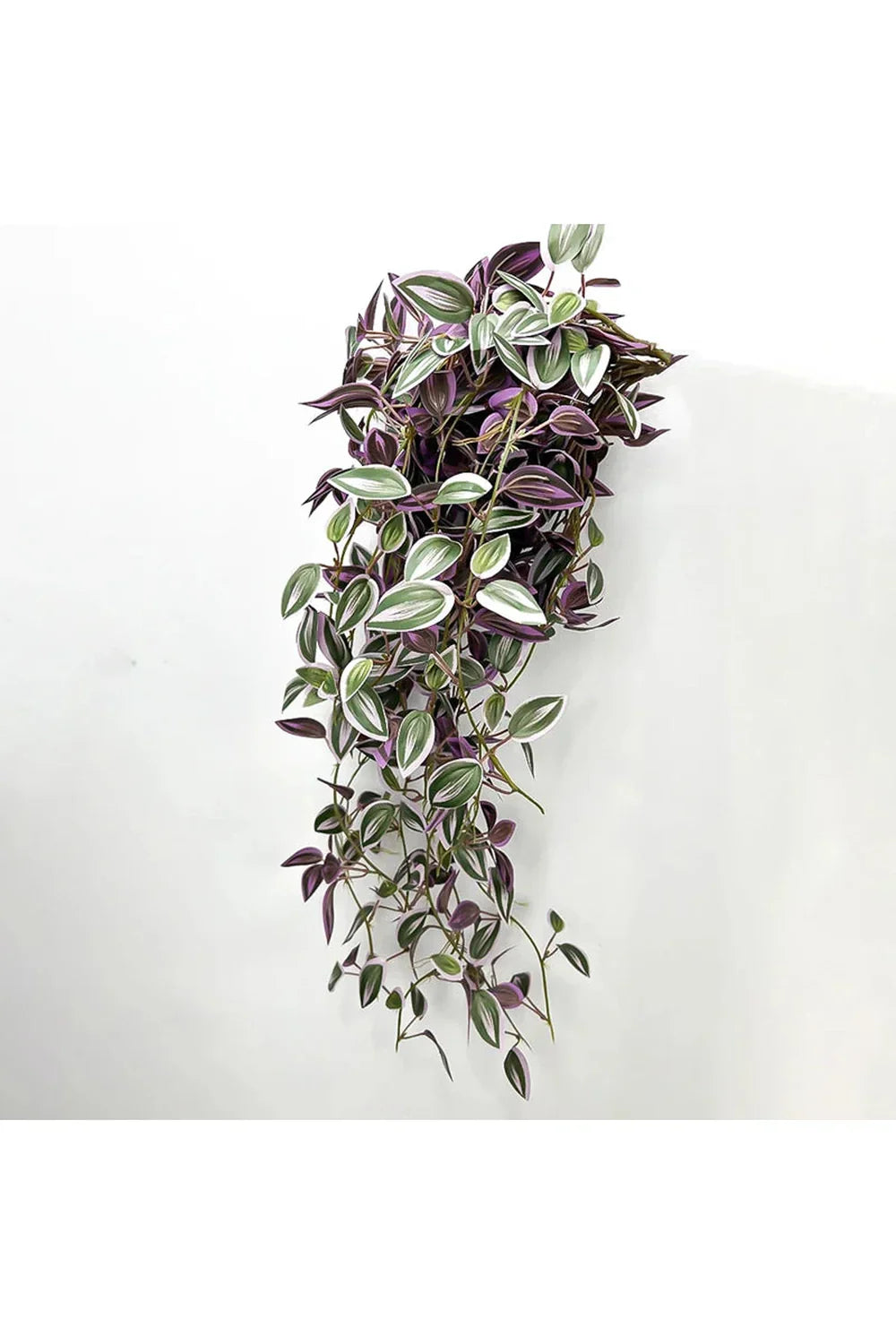 Plantas de Vid