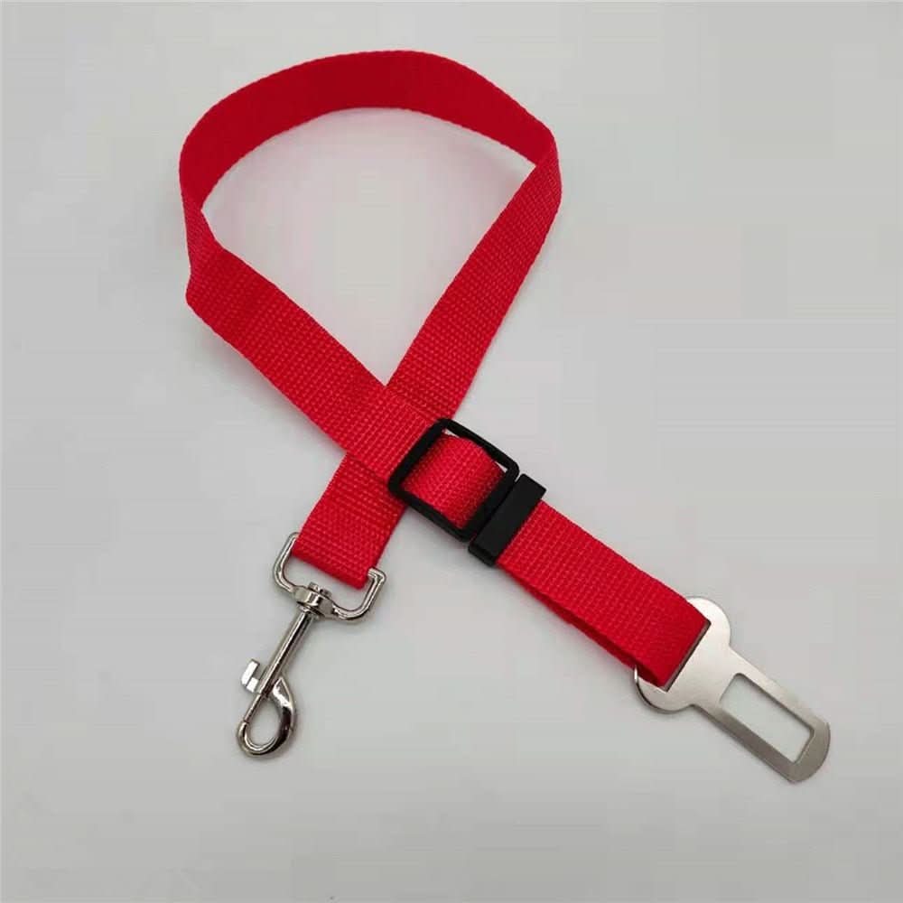Skanto | SAFEPAW – Cinturón de seguridad ajustable para perros en el coche