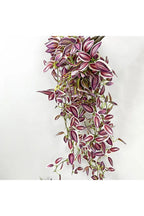Plantas de Vid