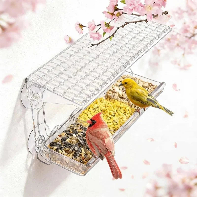 SKYVIEWFEED – Estación de alimentación para aves silvestres con ventana transparente