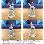 Figuras de bolas de cristal de animales súper lindas