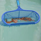 AquaSift Red de Piscina con Mango Telescópico | Red para Hojas para Piscina y Estanque | Red Robusta | Limpieza para Piscina y Spa