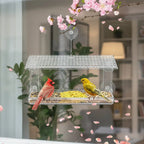 SKYVIEWFEED – Estación de alimentación para aves silvestres con ventana transparente