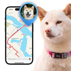 GPS-Localización para máxima seguridad
